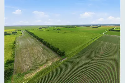 2011 Fm 2919 Road, Beasley, TX 77417 - Photo 15