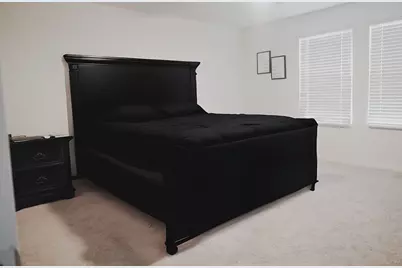 313 Magnum Force Drive, Jarrell, TX 76537 - Photo 15