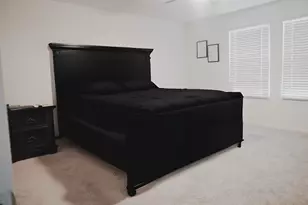 313 Magnum Force Dr, Jarrell, TX 76537 - Photo 15