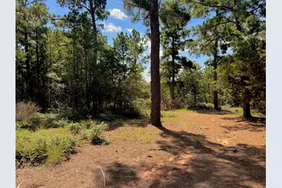 445 Pine Valley Loop, Smithville, TX 78957 - Photo 5