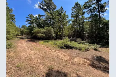 445 Pine Valley Loop, Smithville, TX 78957 - Photo 3