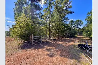 445 Pine Valley Loop, Smithville, TX 78957 - Photo 13