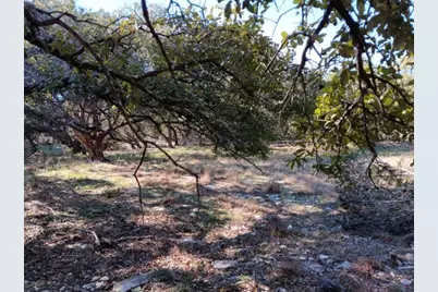 101 Timber Line Road, Georgetown, TX 78633 - Photo 9