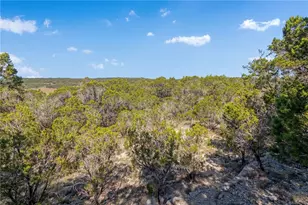 1000 Norwood Rd, Dripping Springs, TX 78620 - Photo 1