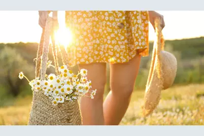 3922 Melody Road, Lockhart, TX 78644 - Photo 27