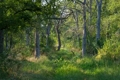 Tbd County Road 243, Florence, TX 76527 - Photo 11