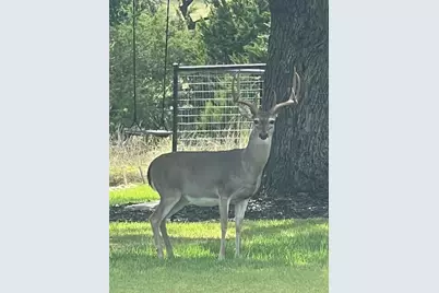 505 John Price Street, Blanco, TX 78606 - Photo 39