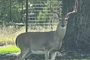 505 John Price St, Blanco, TX 78606 - Photo 39