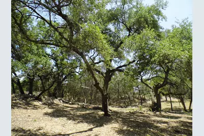 12333B Rr 12 Road #2, Wimberley, TX 78676 - Photo 21