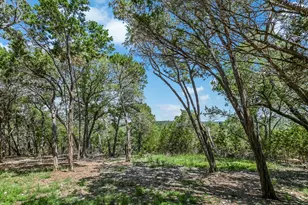 817 Woodcreek Ranch Rd, Wimberley, TX 78676 - Photo 35