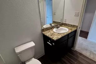13713 Henry A Wallace Ln, Manor, TX 78653 - Photo 21