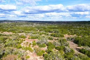 1401 Pursley Rd, Dripping Springs, TX 78620 - Photo 31
