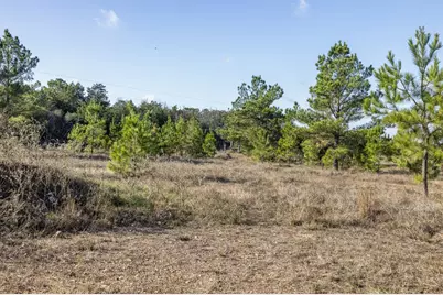 1759 Gotier Trace Road, Paige, TX 78659 - Photo 27