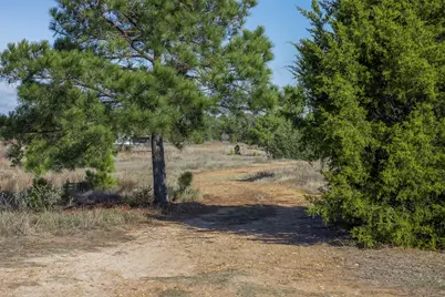 1759 Gotier Trace Road, Paige, TX 78659 - Photo 7