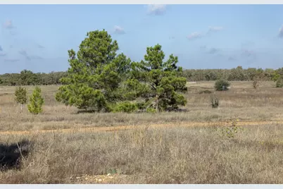 1759 Gotier Trace Road, Paige, TX 78659 - Photo 5