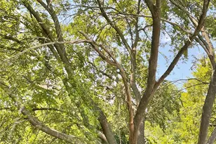 2009 Canterbury St, Austin, TX 78702 - Photo 15