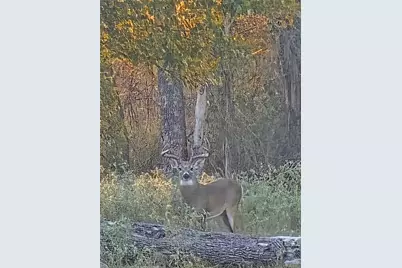 363 Paint Creek South Road #A, Paige, TX 78659 - Photo 7