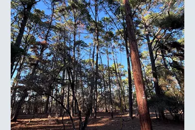 987 Stephen Lane, La Grange, TX 78945 - Photo 3