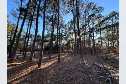 987 Stephen Lane, La Grange, TX 78945 - Photo 5