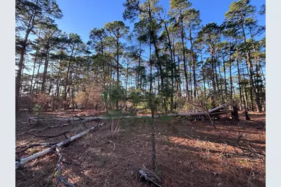 987 Stephen Lane, La Grange, TX 78945 - Photo 7