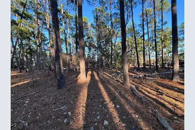 987 Stephen Lane, La Grange, TX 78945 - Photo 9