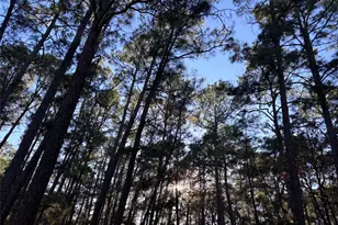 987 Stephen Ln, La Grange, TX 78945 - Photo 1