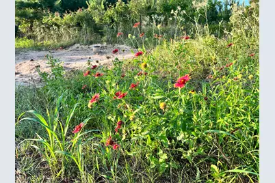 Lot 27 Kinsey Rd, Paige, TX 78659 - Photo 15