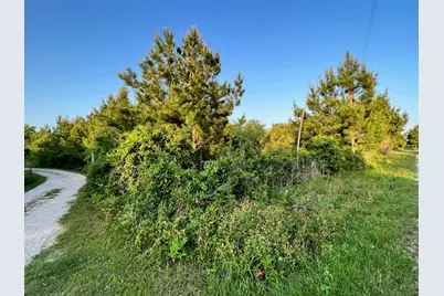 Lot 27 Kinsey Rd, Paige, TX 78659 - Photo 3