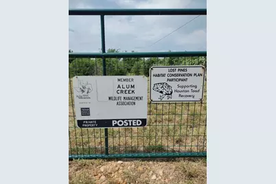 538 Cottletown Road, Smithville, TX 78957 - Photo 3