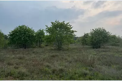 538 Cottletown Road, Smithville, TX 78957 - Photo 35