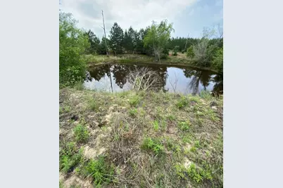 538 Cottletown Road, Smithville, TX 78957 - Photo 29