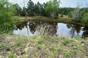 538 Cottletown Rd, Smithville, TX 78957 - Photo 29