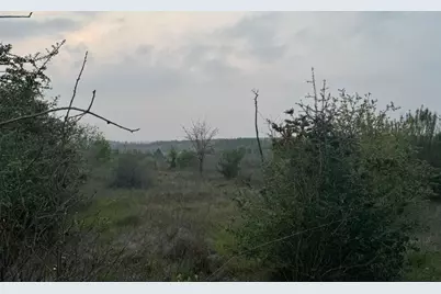 538 Cottletown Road, Smithville, TX 78957 - Photo 37