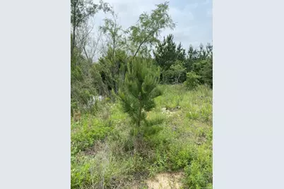 538 Cottletown Road, Smithville, TX 78957 - Photo 31