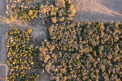 0000 Tbd 21+/- Ac Grassyville Road, Paige, TX 78659 - Photo 5