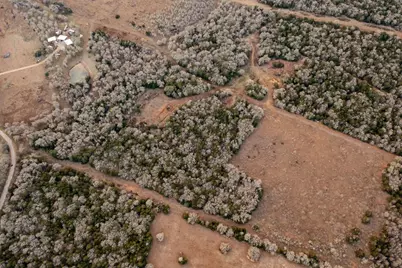 0000 Tbd 21+/- Ac Grassyville Road, Paige, TX 78659 - Photo 19