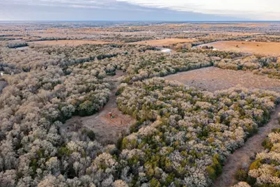 0000 Tbd 21+/- Ac Grassyville Road, Paige, TX 78659 - Photo 13