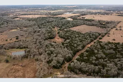 0000 Tbd 21+/- Ac Grassyville Road, Paige, TX 78659 - Photo 9