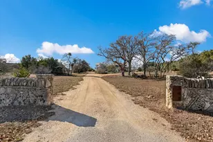 343 Pug Rippy Rd, Dripping Springs, TX 78620 - Photo 3