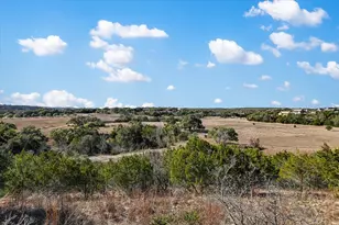 343 Pug Rippy Rd, Dripping Springs, TX 78620 - Photo 29