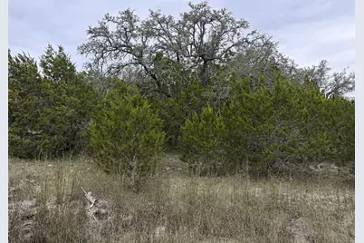 Lot 20E Overland Stage Road, Dripping Springs, TX 78620 - Photo 11