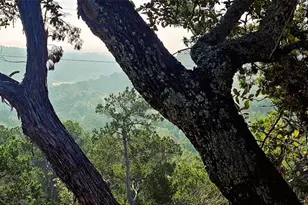 961 Buttercup Ln, Wimberley, TX 78676 - Photo 29