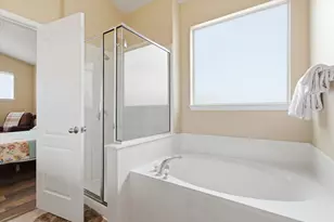 359 Bloomsbury Dr, Kyle, TX 78640 - Photo 13