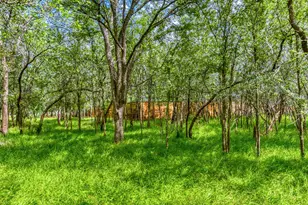 115 Mokulua Ln, Bastrop, TX 78602 - Photo 37