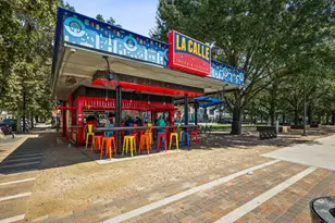 1106 Oneil St, Houston, TX 77019 - Photo 19