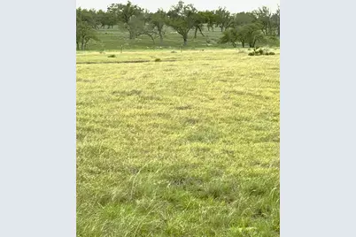 Tract 10,11 Ranch Ed 783 Roads, Harper, TX 78631 - Photo 3