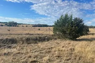 Lot 175 Heartleaf Dr, Lampasas, TX 76550 - Photo 13