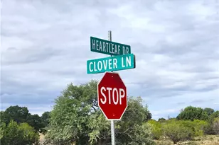 Lot 175 Heartleaf Dr, Lampasas, TX 76550 - Photo 5