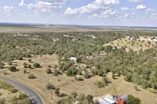 358 Elm Forest Loop, Cedar Creek, TX 78612 - Photo 3