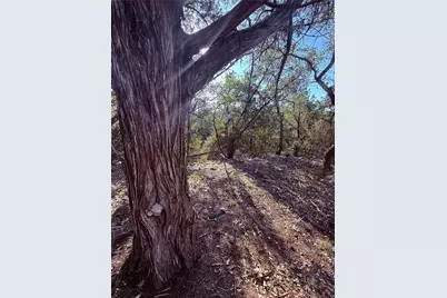 3600 Stagecoach Ranch Loop, Dripping Springs, TX 78620 - Photo 3